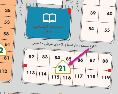 بلك رقم 21 بمخطط الطارق